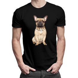 Buldok francouzský - French Bulldog - verze 2 - pánské tričko s potiskem