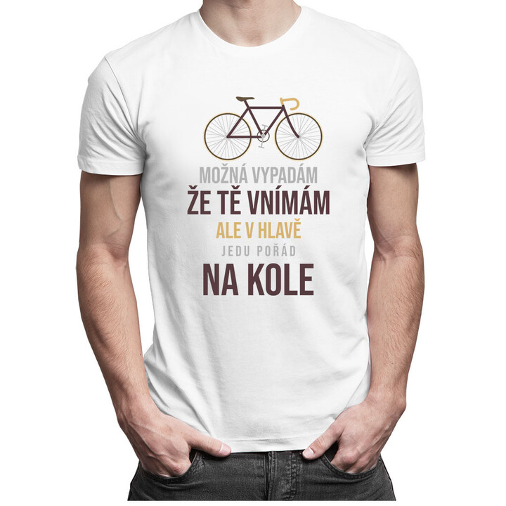 Možná vypadám, že tě vnímám v1 - pánské tričko s potiskem