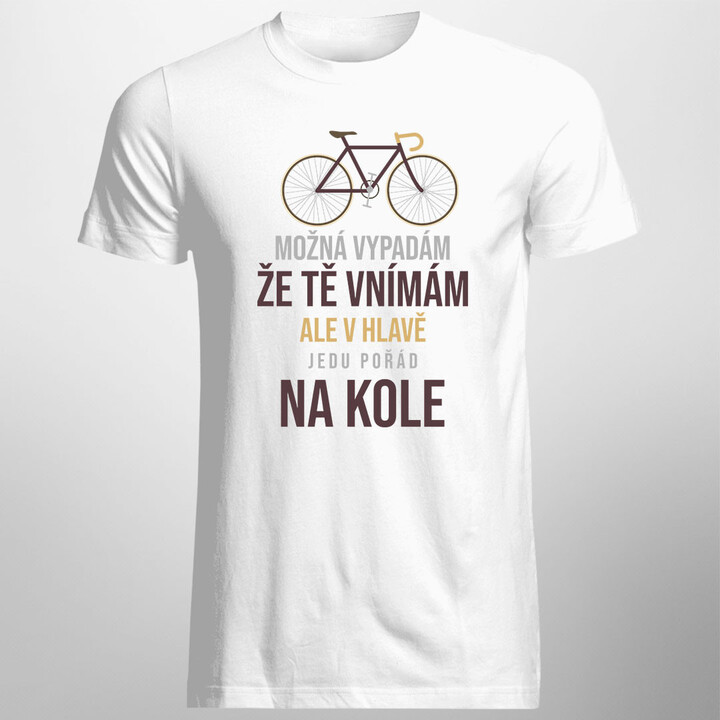 Možná vypadám, že tě vnímám v1 - pánské tričko s potiskem