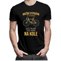Možná vypadám, že tě vnímám v2 - pánské tričko s potiskem