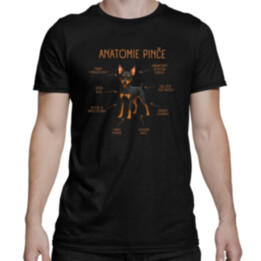 Anatomie pinče - pánské tričko s potiskem