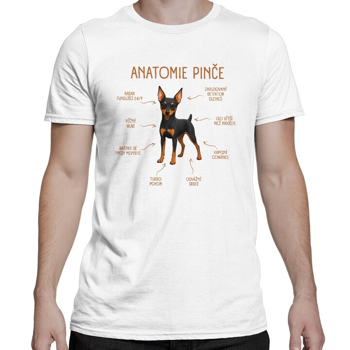 Anatomie pinče - pánské tričko s potiskem