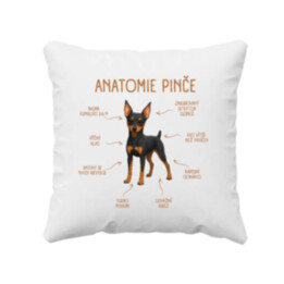 Anatomie pinče - polštář s potiskem