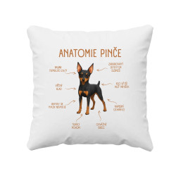Anatomie pinče - polštář s potiskem