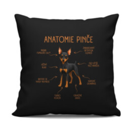 Anatomie pinče - černý polštář s potiskem