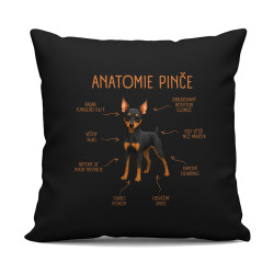 Anatomie pinče - černý polštář s potiskem