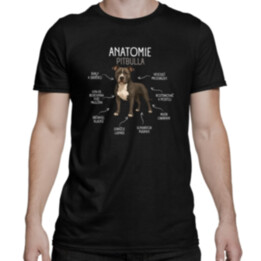 Anatomie pitbulla - pánské tričko s potiskem