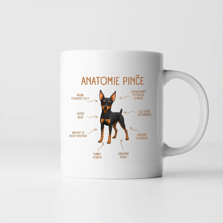 Anatomie pinče - hrnek s potiskem
