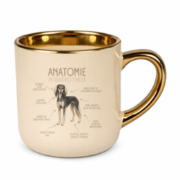 Anatomie perského chrta – Elegantní hrnek na dárek