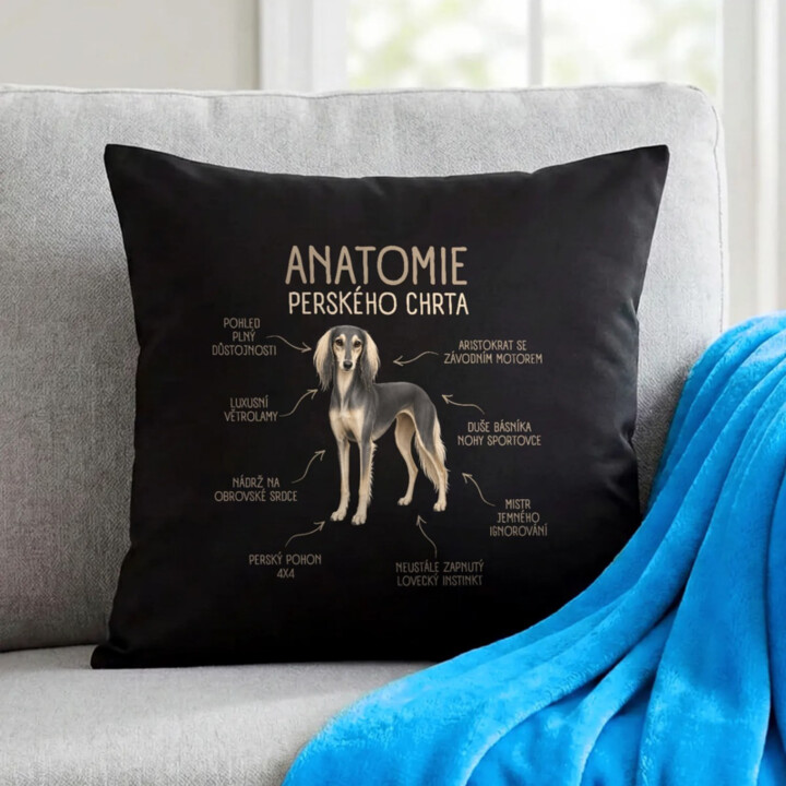 Anatomie perského chrta - černý polštář s potiskem