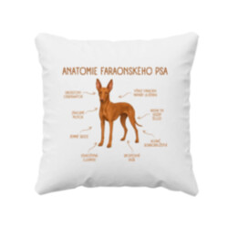 Anatomie faraonského psa - polštář s potiskem