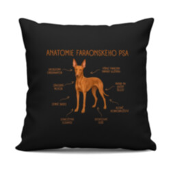Anatomie faraonského psa - černý polštář s potiskem
