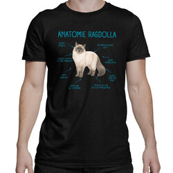 Anatomie ragdolla - pánské tričko s potiskem