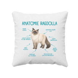 Anatomie ragdolla - polštář s potiskem