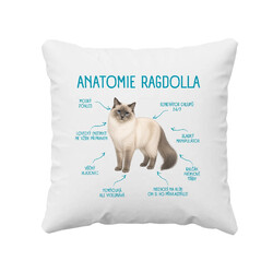 Anatomie ragdolla - polštář s potiskem
