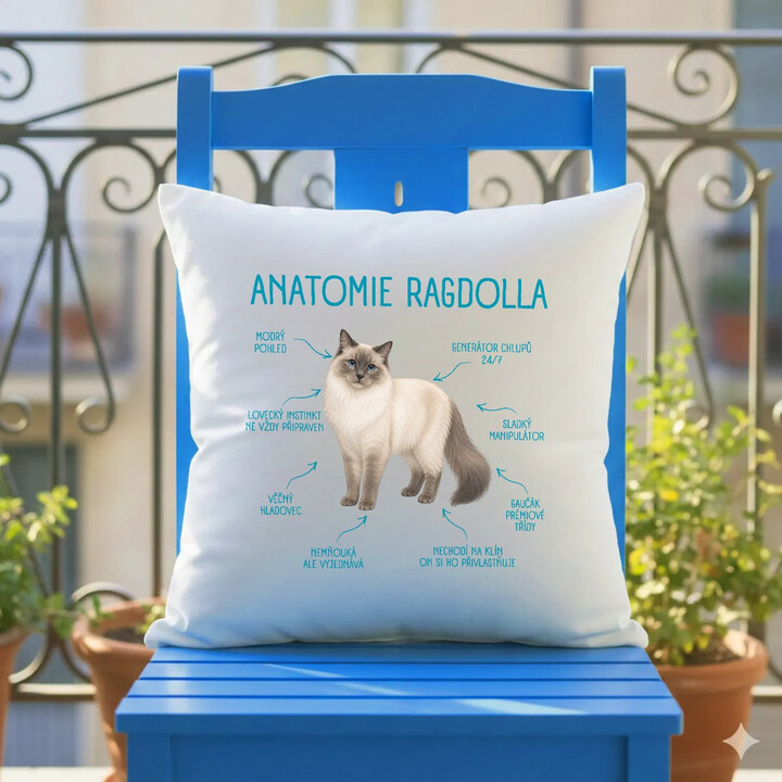 Anatomie ragdolla - polštář s potiskem