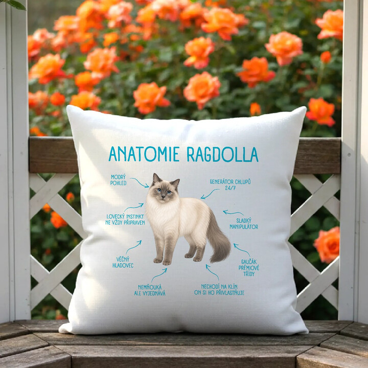 Anatomie ragdolla - polštář s potiskem