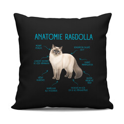 Anatomie ragdolla - černý polštář s potiskem
