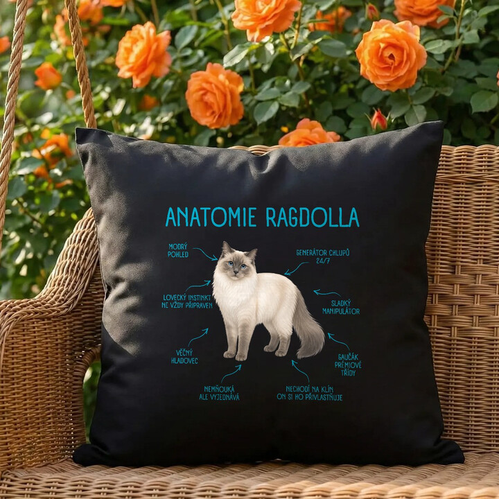 Anatomie ragdolla - černý polštář s potiskem
