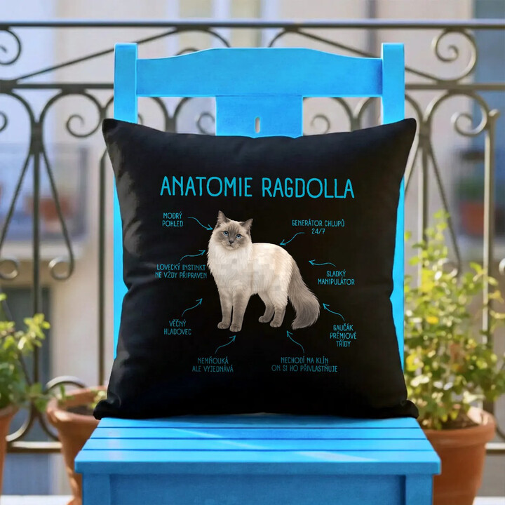 Anatomie ragdolla - černý polštář s potiskem