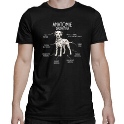 Anatomie dalmatina - pánské tričko s potiskem