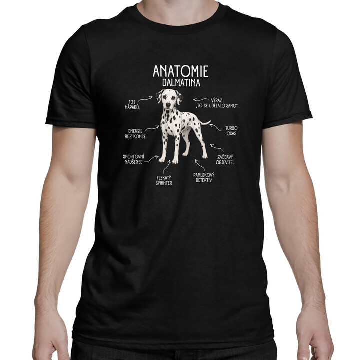 Anatomie dalmatina - pánské tričko s potiskem