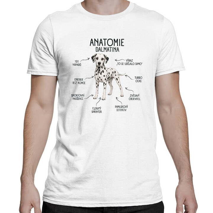 Anatomie dalmatina - pánské tričko s potiskem