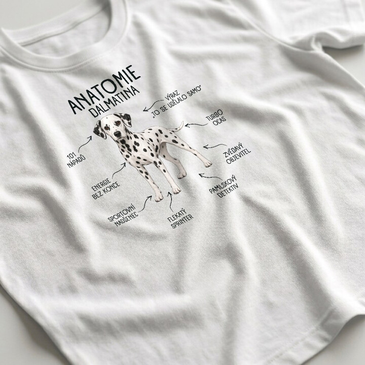 Anatomie dalmatina - pánské tričko s potiskem