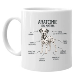 Anatomie dalmatina - hrnek s potiskem