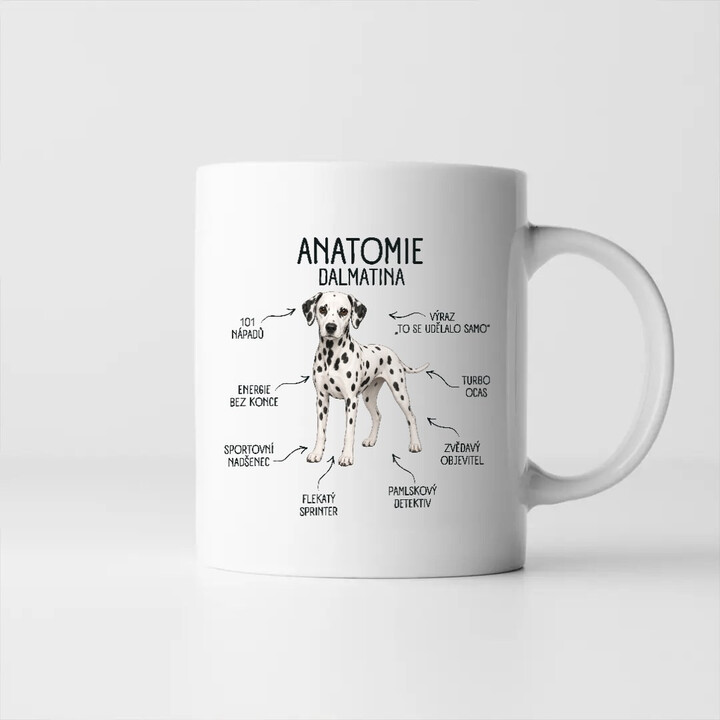 Anatomie dalmatina - hrnek s potiskem