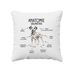 Anatomie dalmatina - polštář s potiskem