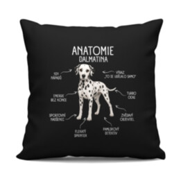 Anatomie dalmatina - černý polštář s potiskem