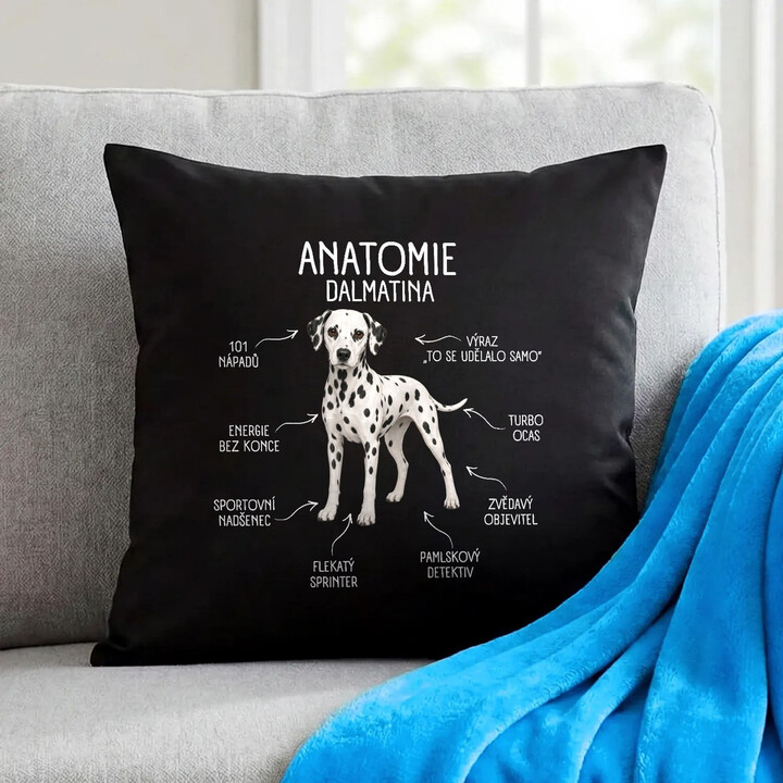 Anatomie dalmatina - černý polštář s potiskem