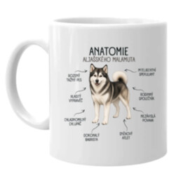 Anatomie aljašského malamuta - hrnek s potiskem