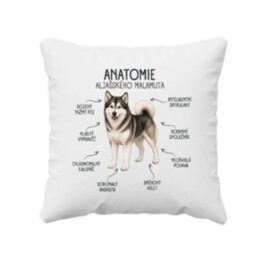Anatomie aljašského malamuta - polštář s potiskem