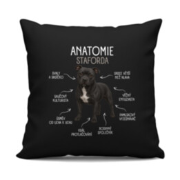 Anatomie staforda - černý polštář s potiskem