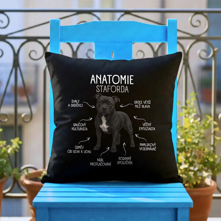 Anatomie staforda - černý polštář s potiskem