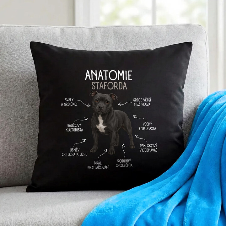 Anatomie staforda - černý polštář s potiskem