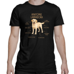 Anatomie labradora - pánské tričko s potiskem