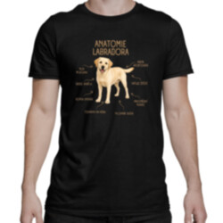 Anatomie labradora - pánské tričko s potiskem