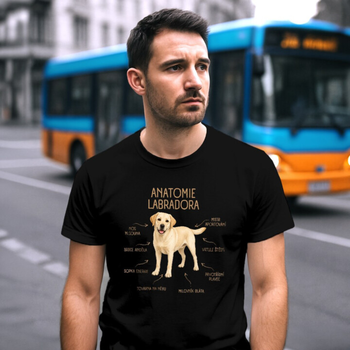 Anatomie labradora - pánské tričko s potiskem