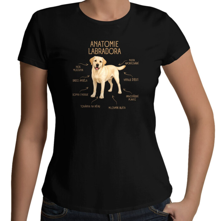 Anatomie labradora - dámské tričko s potiskem