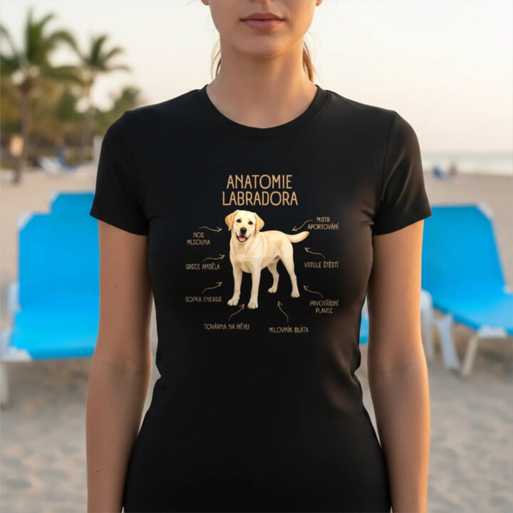Anatomie labradora - dámské tričko s potiskem