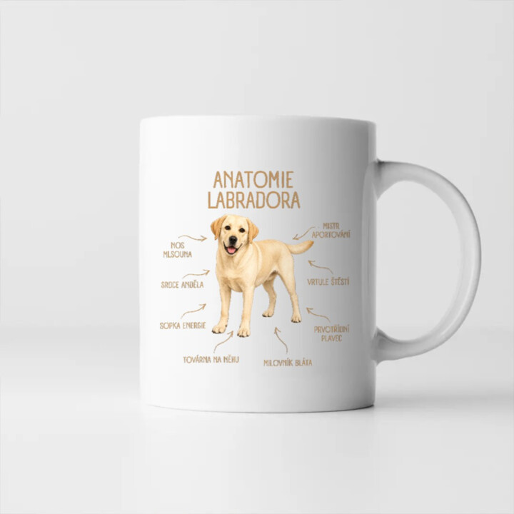Anatomie labradora - hrnek s potiskem
