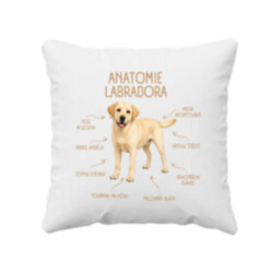 Anatomie labradora - polštář s potiskem