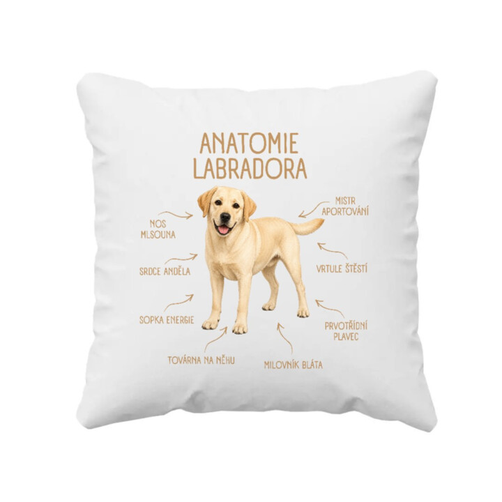 Anatomie labradora - polštář s potiskem