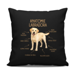 Anatomie labradora - černý polštář s potiskem
