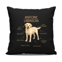 Anatomie labradora - černý polštář s potiskem