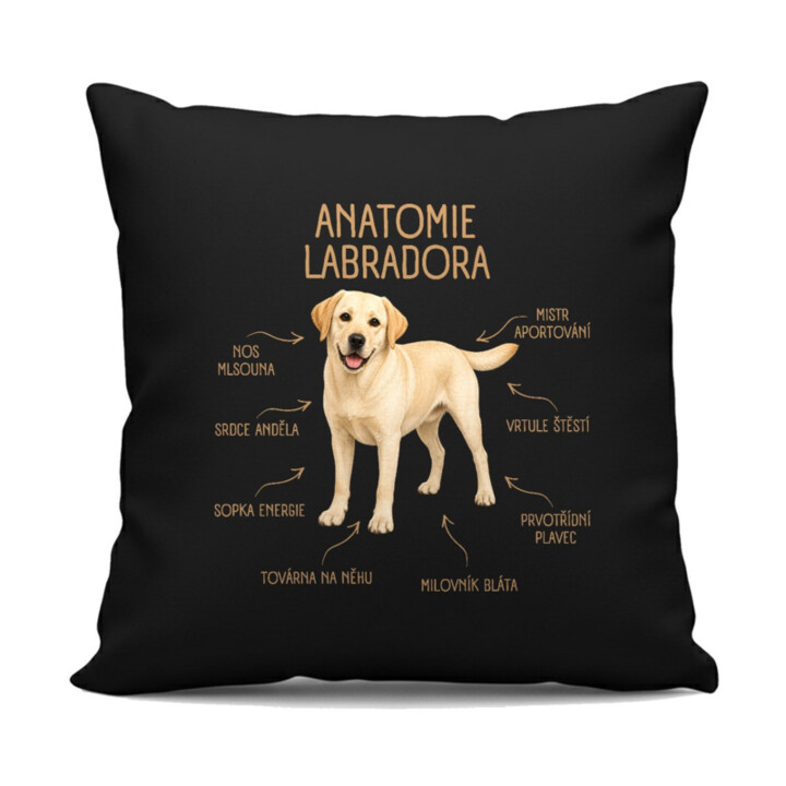 Anatomie labradora - černý polštář s potiskem