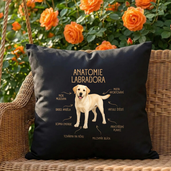 Anatomie labradora - černý polštář s potiskem